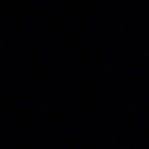 Meet your Posher, Lela